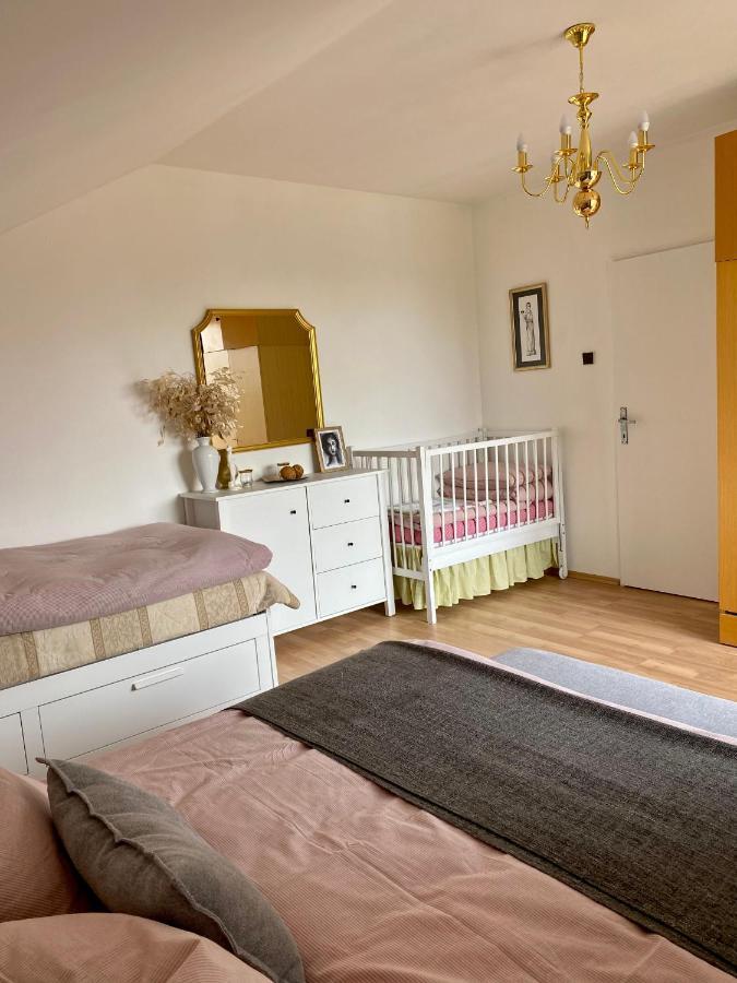 Apartman U Babicky เชสกา สกาลิเซ ภายนอก รูปภาพ